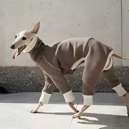 Pet Peluş Sıcak Yüksek Boyun Dört Ayaklı Giysiler