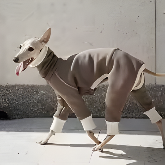 Pet Peluş Sıcak Yüksek Boyun Dört Ayaklı Giysiler